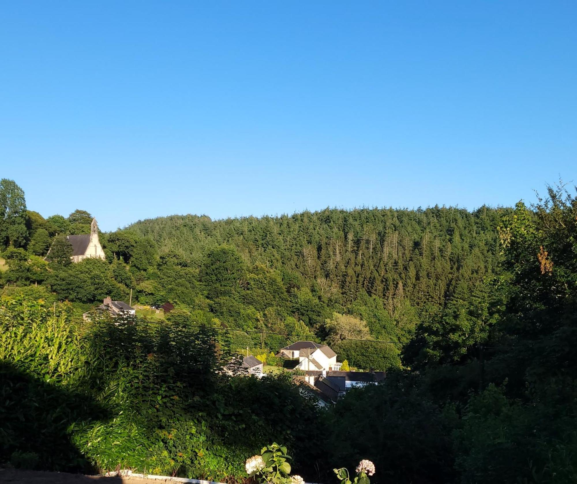 The White House Bed & Breakfast, Near Looe Bed and Breakfast Herodsfoot Exterior foto